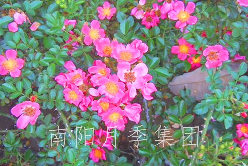 ¼